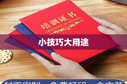 泉州小技巧大用途