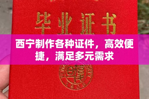 泉州西宁制作各种证件，高效便捷，满足多元需求